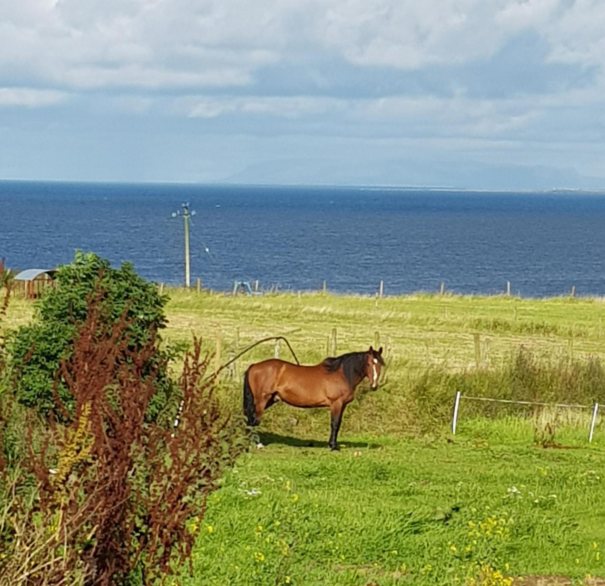Bed and Breakfast Sunrise View Castlemagee Екстер'єр фото